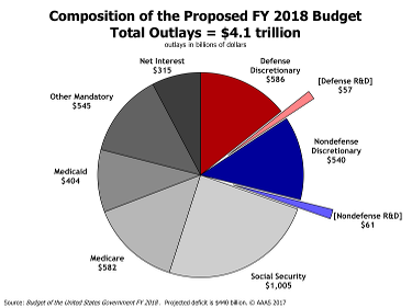 Pie chart of the composition (mandatory, discretionary) of the FY18 budget request