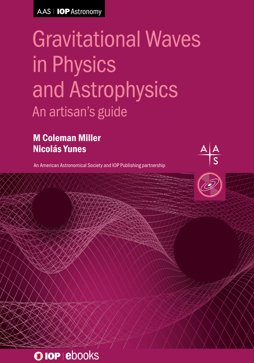 Gravitational Waves in Physics and Astrophysics ebook cover